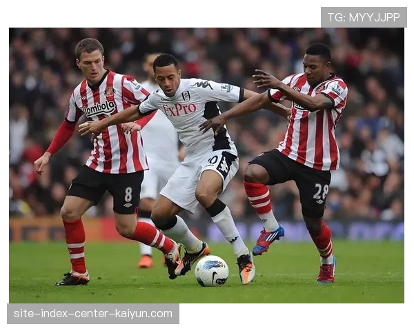 富勒姆客场3比1击败桑德兰 射门16次射正7次